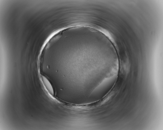 X0000087011102200704301413