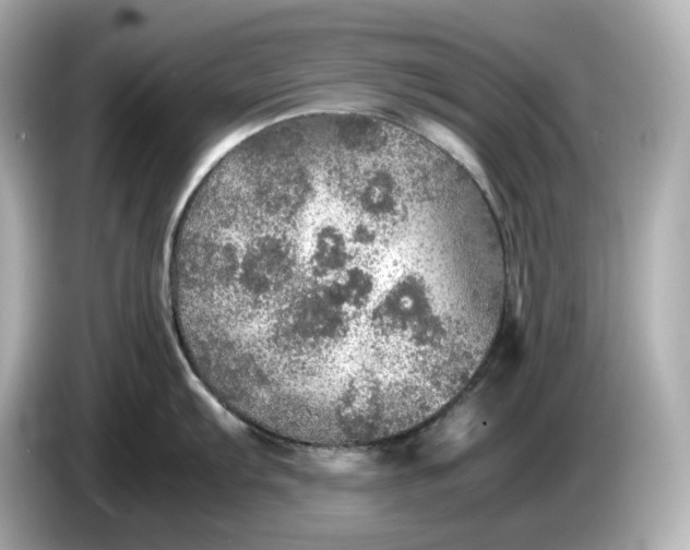 X0000087011103200704301413