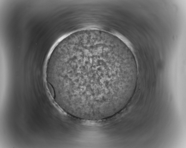 X0000087011104200704301413