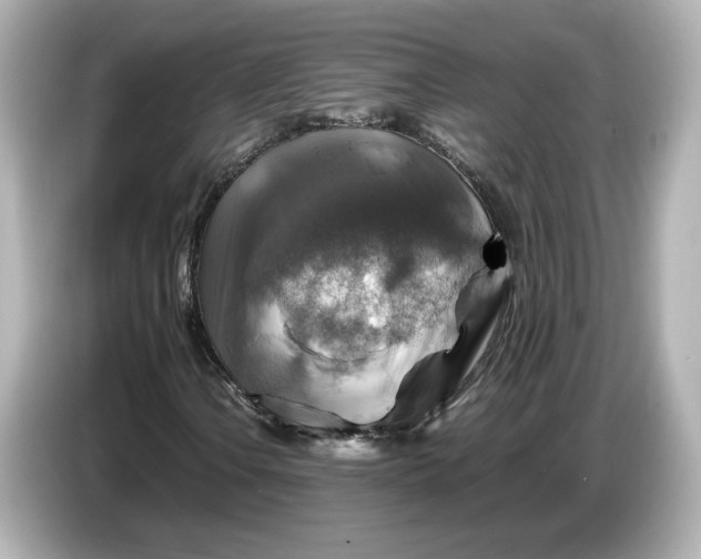 X0000087011106200704301412