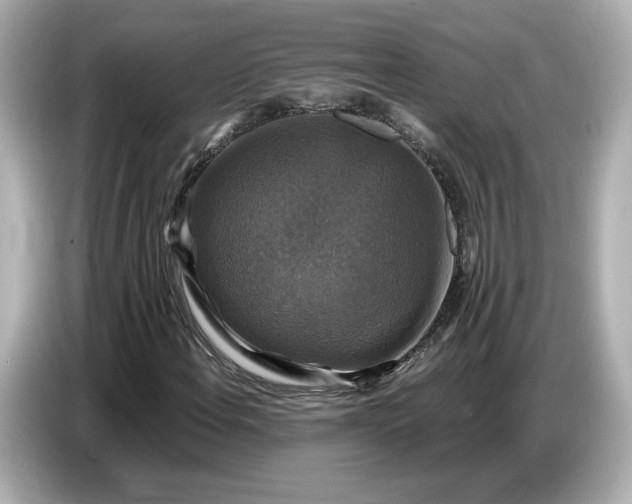 X0000087011108200704301412