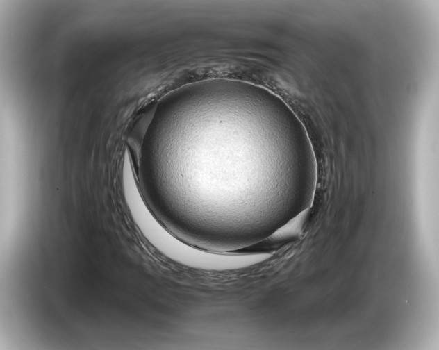 X0000087011109200704301412