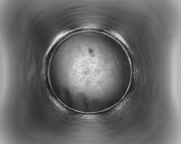 X0000087011116200704301412