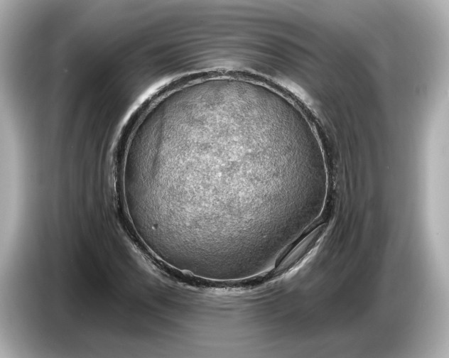 X0000087011118200704301412