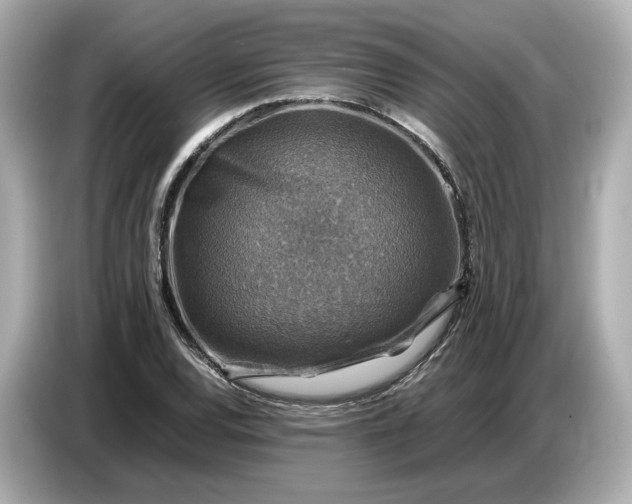 X0000087011120200704301412