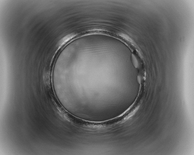 X0000087011121200704301412