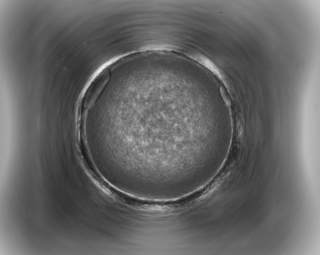 X0000087011124200704301412