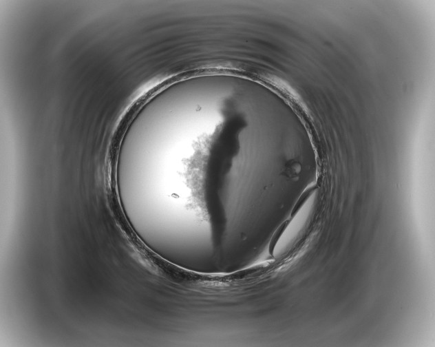 X0000087011125200704301412