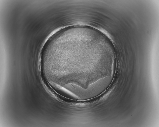 X0000087011126200704301412