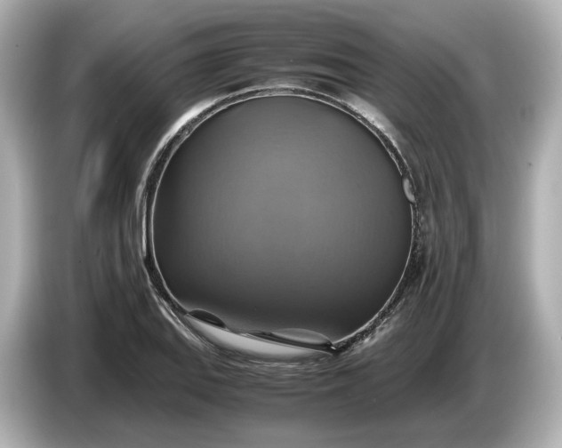 X0000087011127200704301412