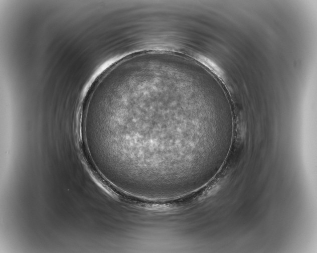 X0000087011128200704301412