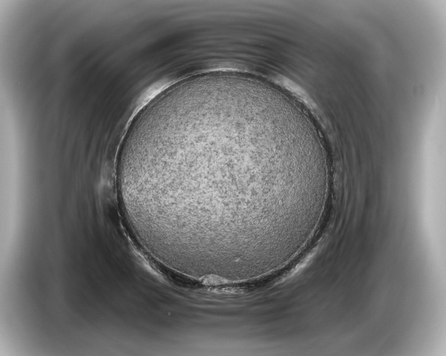 X0000087011129200704301412