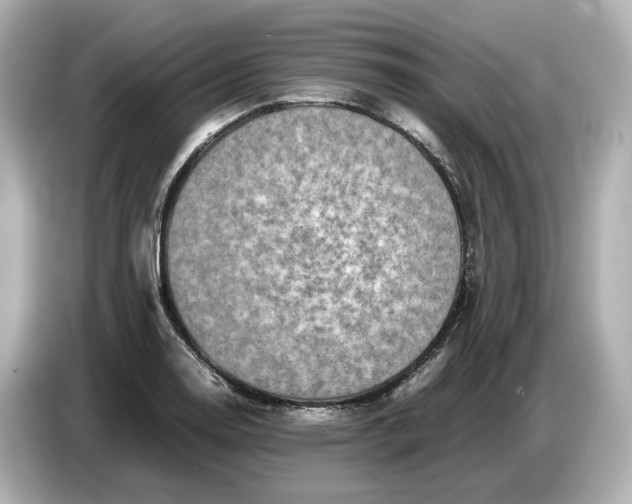 X0000087011130200704301412