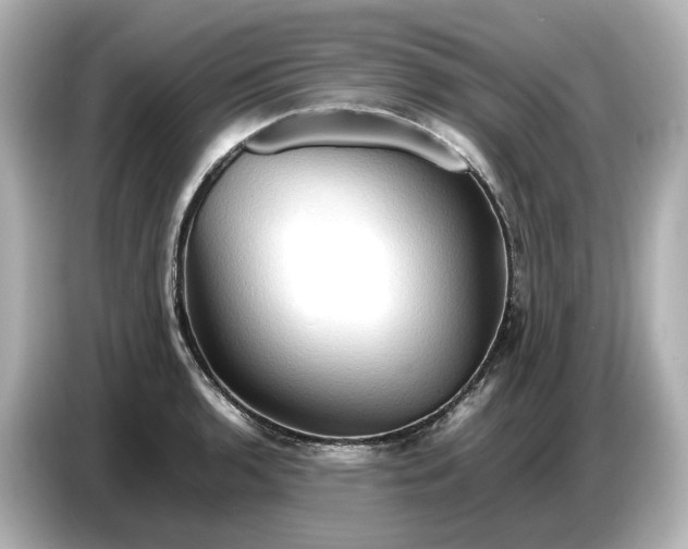 X0000087011136200704301412