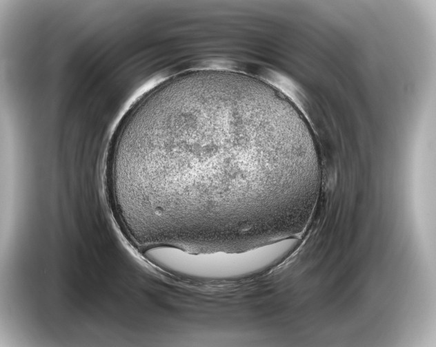 X0000087011139200704301412