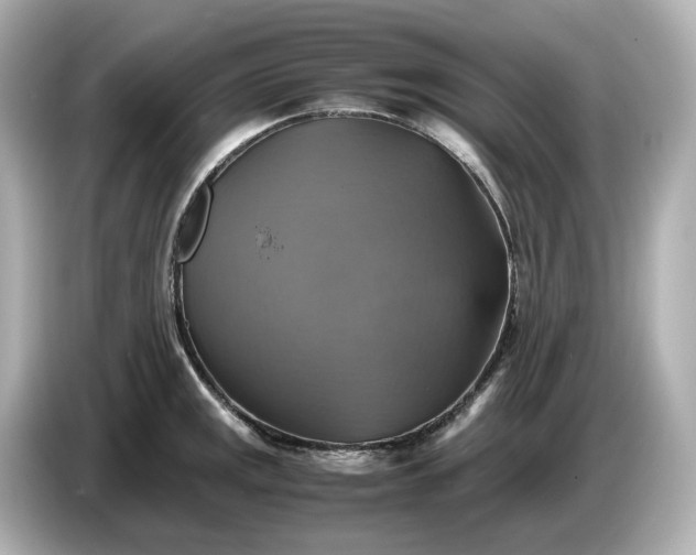 X0000087011141200704301412