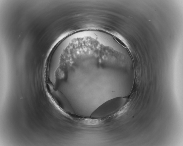 X0000087011142200704301412