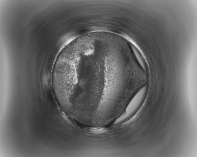 X0000087011145200704301412