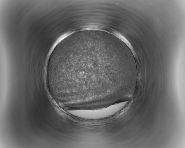 X0000087011146200704301412