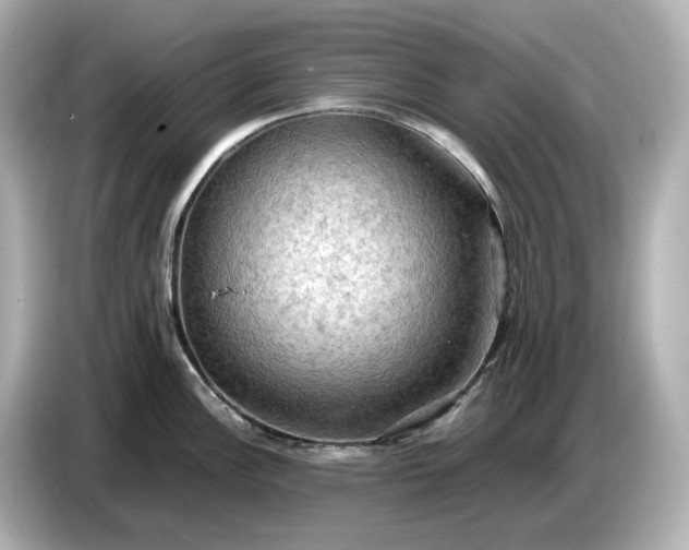 X0000087011148200704301412