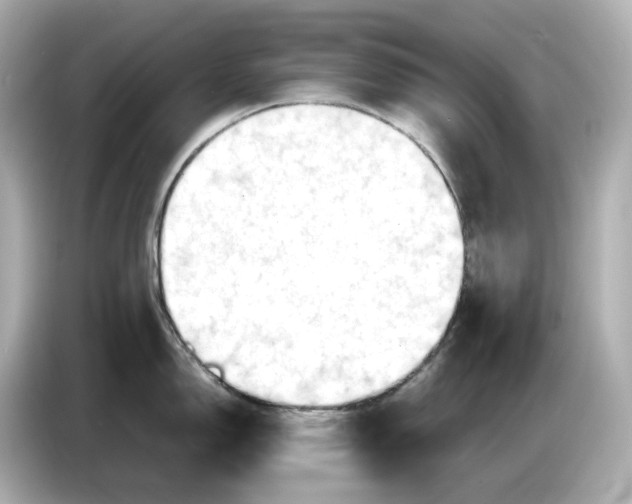 X0000087011150200704301412