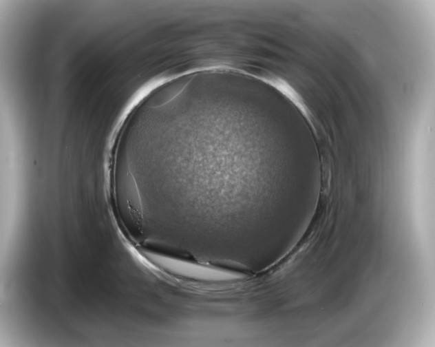 X0000087011151200704301412