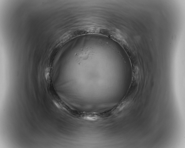 X0000087011154200704301412