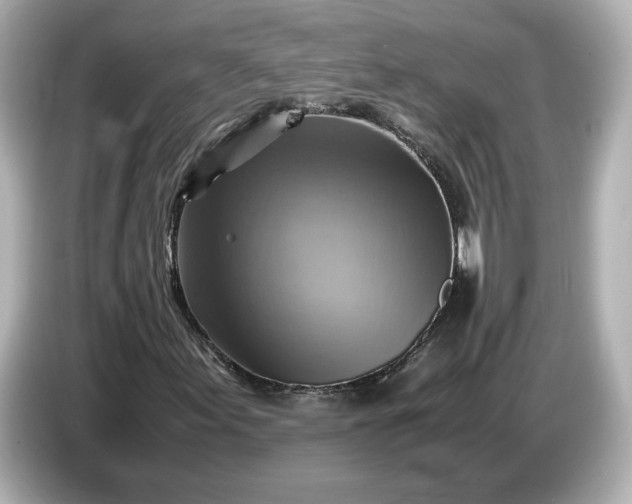 X0000087011155200704301412