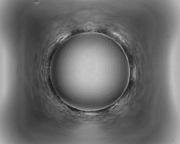 X0000087011157200704301412