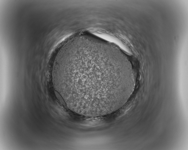 X0000087011159200704301412