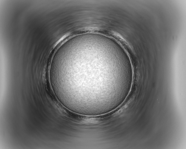 X0000087011162200704301412