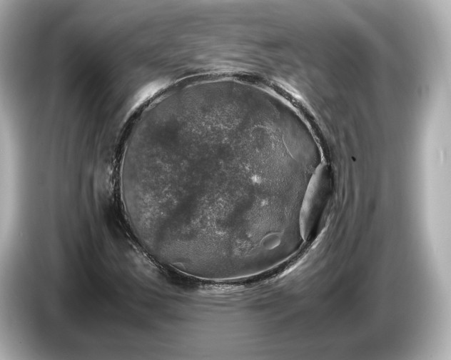 X0000087011163200704301412