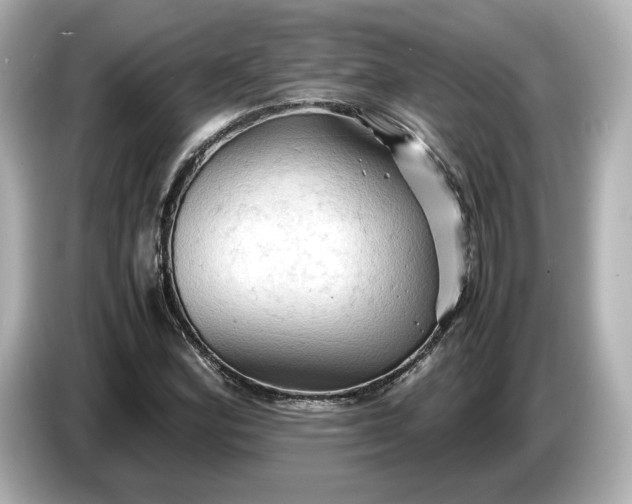 X0000087011164200704301412