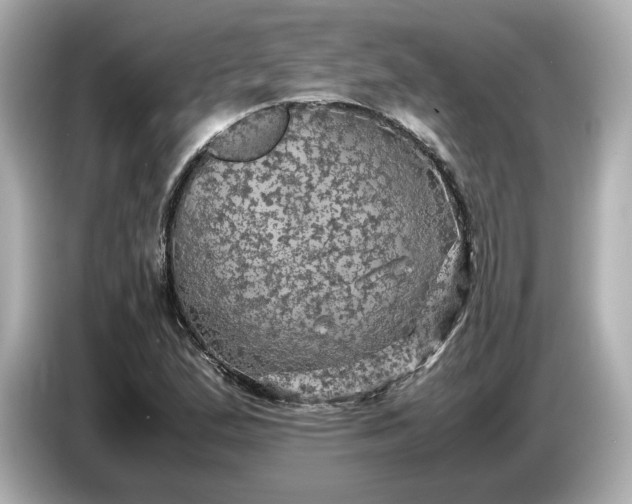 X0000087011167200704301412