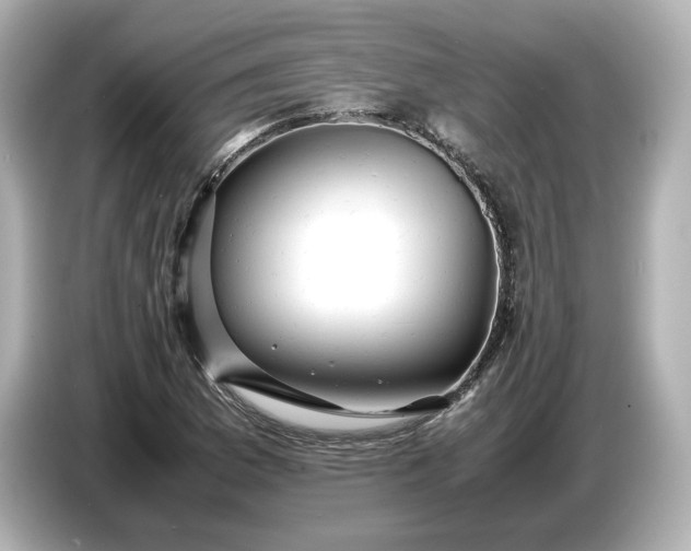 X0000087011169200704301412