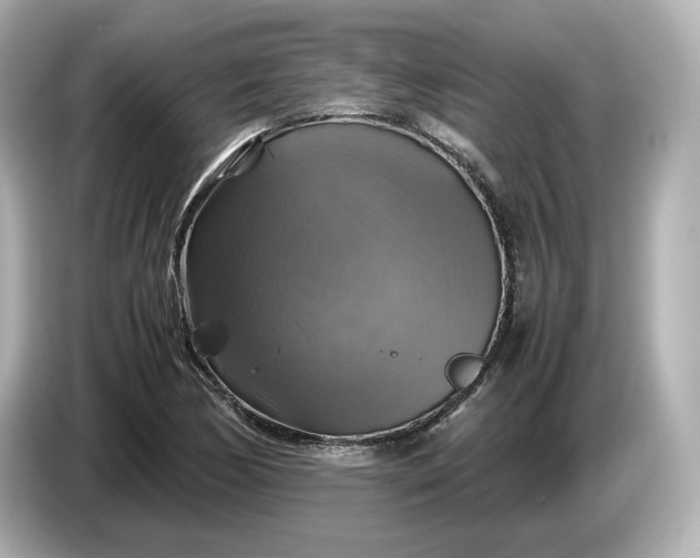 X0000087011170200704301412