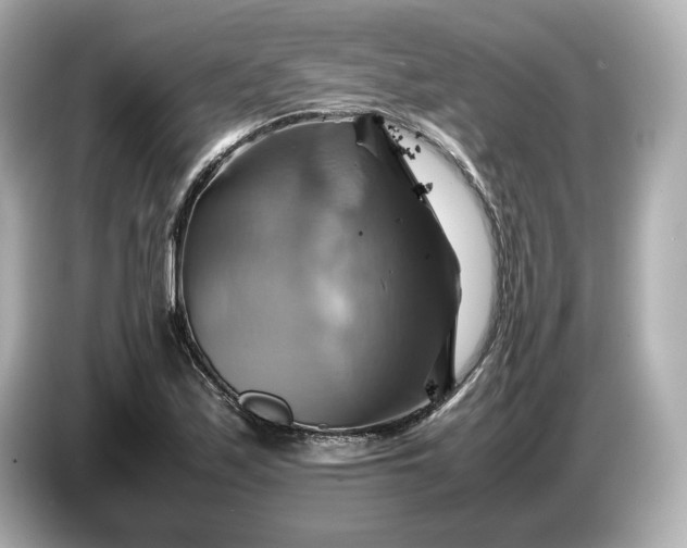 X0000087011171200704301412