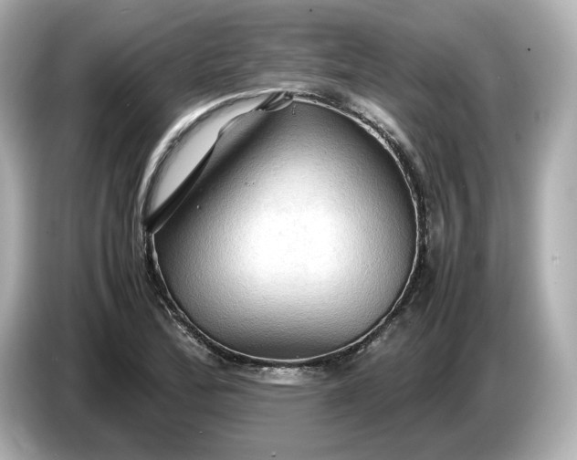 X0000087011172200704301412