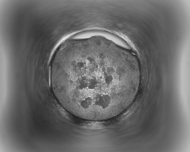 X0000087011175200704301412