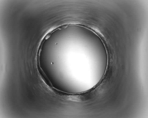 X0000087011181200704301412