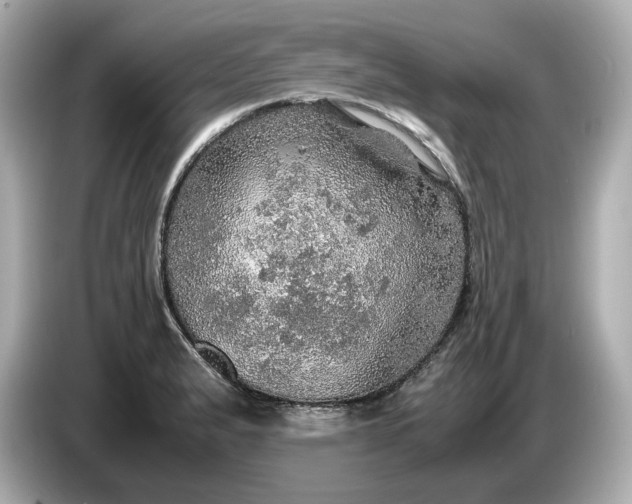 X0000087011183200704301411