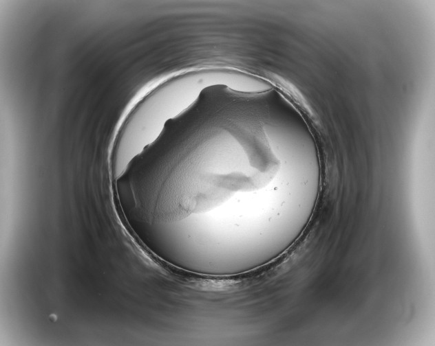 X0000087011184200704301411