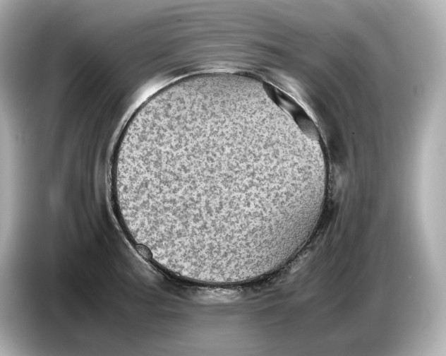 X0000087011187200704301411