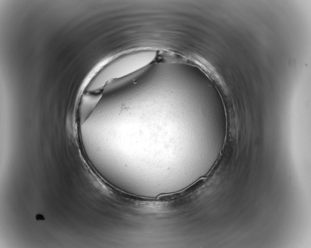 X0000087011188200704301411