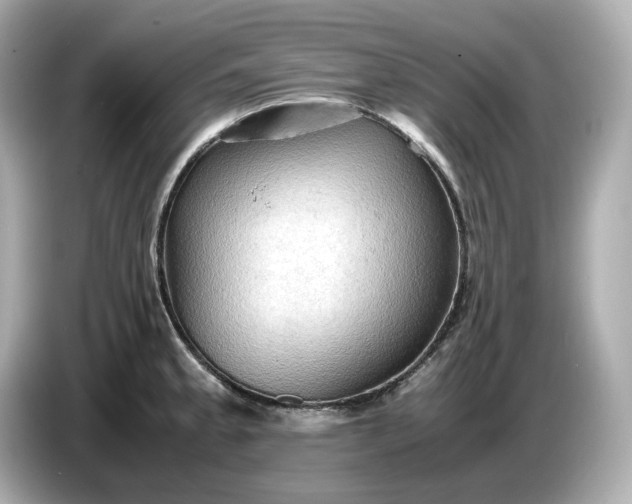 X0000087011189200704301411