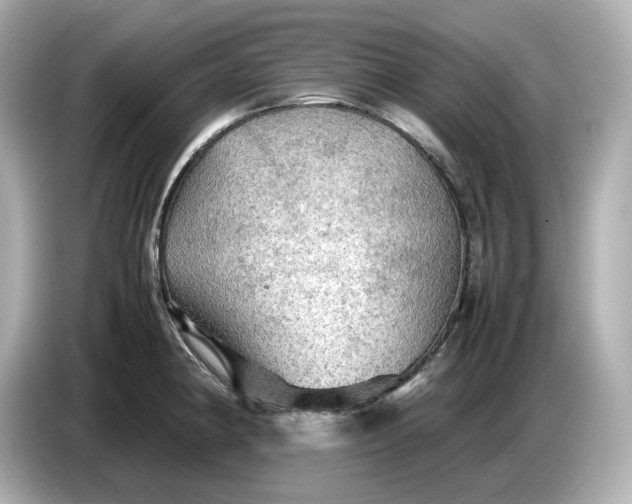 X0000087011190200704301411