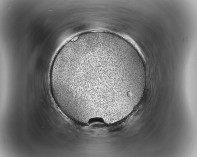 X0000087011191200704301411