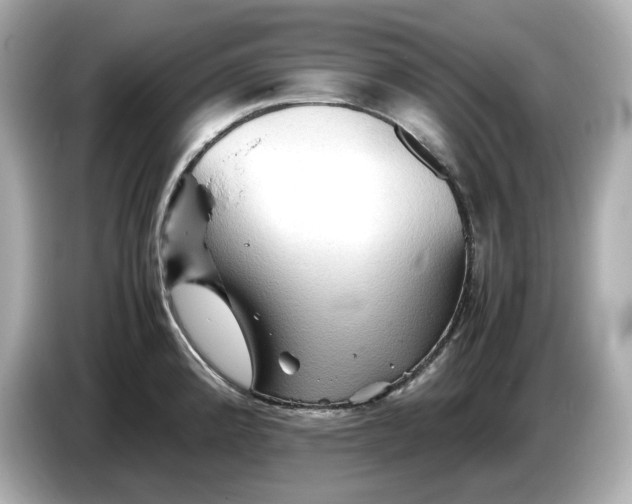 X0000087011192200704301411