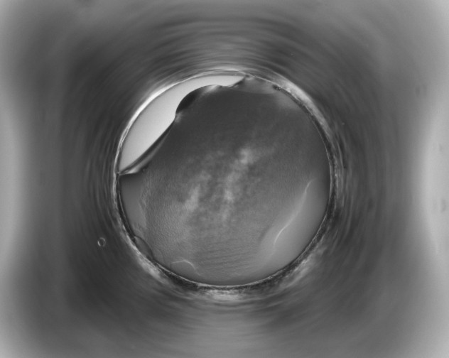 X0000087011194200704301411