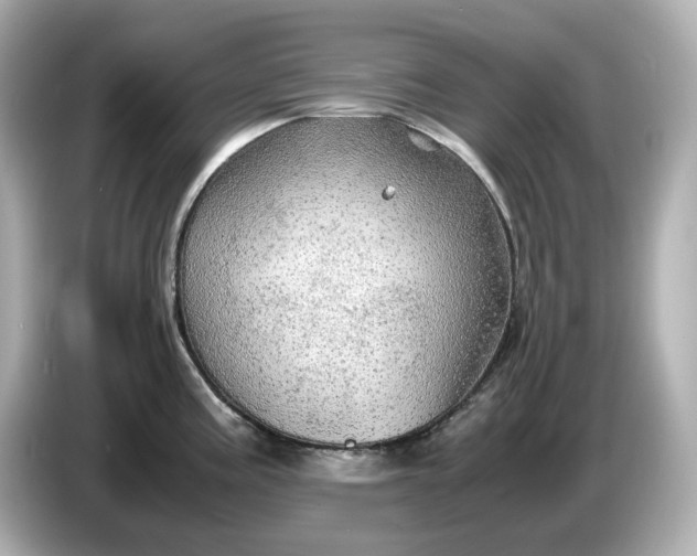 X0000087011195200704301411